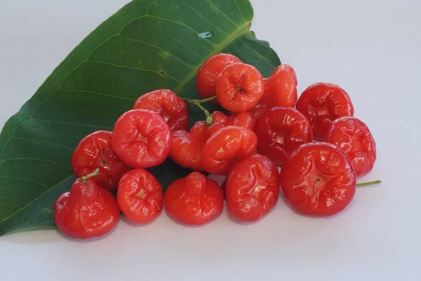 Rode Roos Appel Vruchten Geïsoleerd Witte Achtergrond — Stockfoto