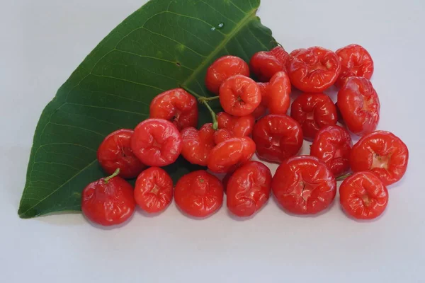 Rote Rose Apfelfrüchte Isoliert Auf Weißem Hintergrund — Stockfoto