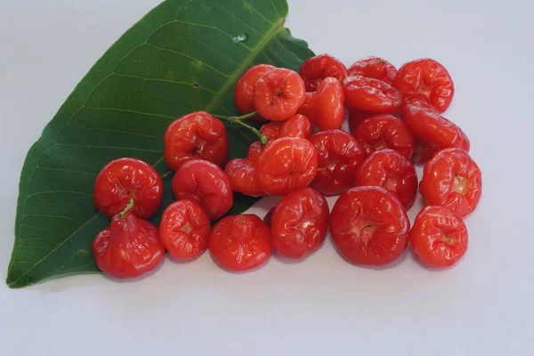 Rote Rose Apfelfrüchte Isoliert Auf Weißem Hintergrund — Stockfoto