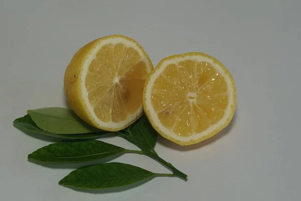 Fette Limone Sfondo Bianco — Foto Stock