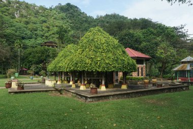 Ipoh, Perak, Malezya 'daki Gunung Lang Eğlence Parkı' nın bitki örtüsü