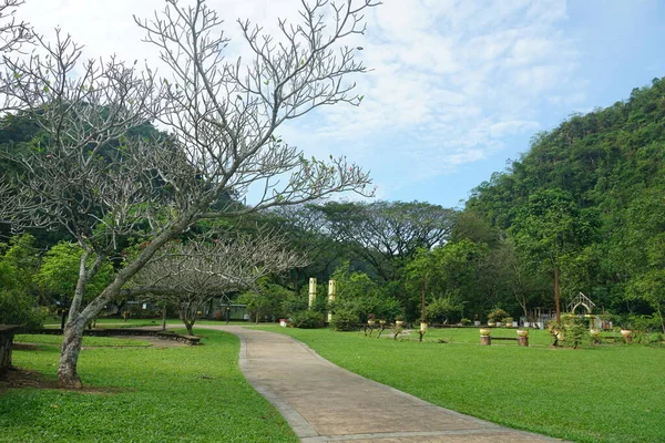 Paysage Végétal Gunung Lang Recreational Park Situé Ipoh Perak Malaisie — Photo