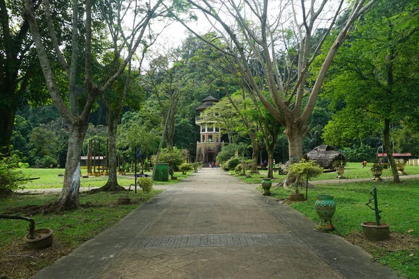 Rostliny Krajina Gunung Lang Rekreační Park Který Nachází Ipoh Perak — Stock fotografie