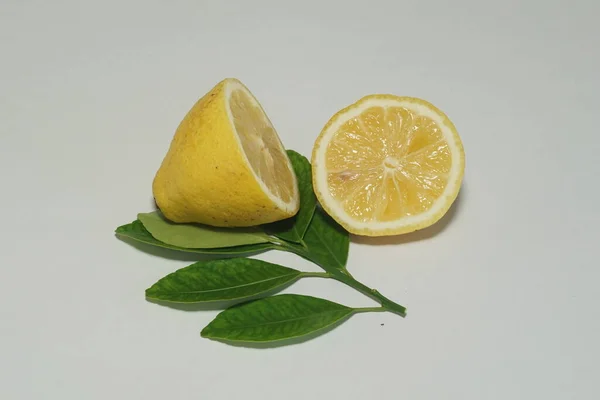 Lemon Slices White Background — Stock Photo, Image