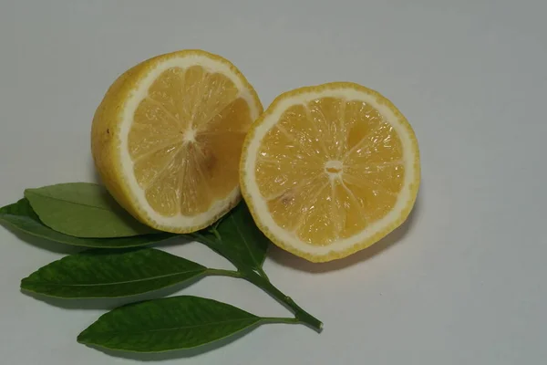 Irisan Lemon Pada Latar Belakang Putih — Stok Foto