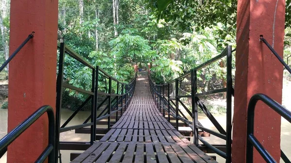 Uma Ponte Floresta Recreativa Lentang Bentong Pahang Malásia — Fotografia de Stock