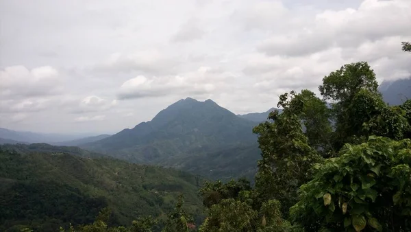 Vista Sulle Montagne Sulla Foresta Tropicale Situata Pekan Nabalu Sabah — Foto Stock