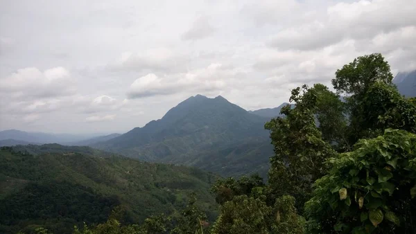 Una Vista Montaña Bosque Tropical Situado Pekan Nabalu Sabah Malasia — Foto de Stock