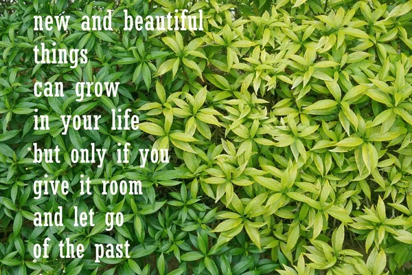 Close Greeny Leaves Motivational Qoute — Stock Photo, Image