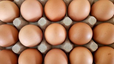 Kağıt tepside yumurtaları kapat.