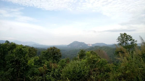 Vista Della Foresta Pluviale Tropicale — Foto Stock