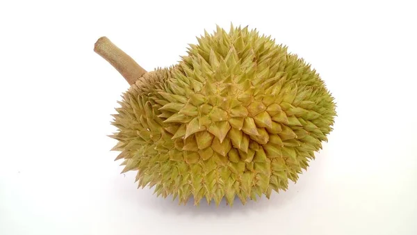 Buah Durian Diisolasi Latar Belakang Putih — Stok Foto