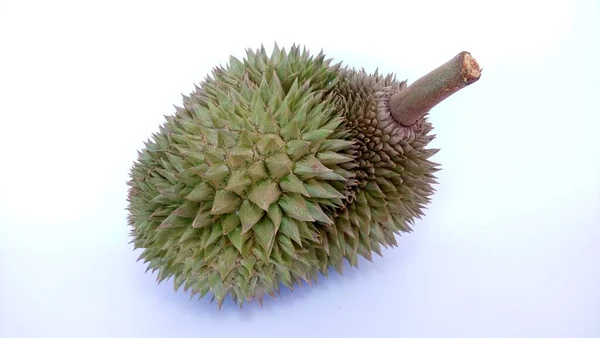 Buah Durian Diisolasi Latar Belakang Putih — Stok Foto