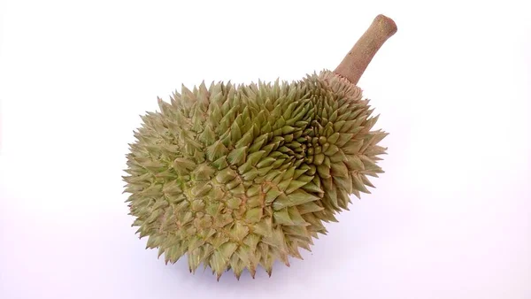 Frutta Durian Isolato Sfondo Bianco — Foto Stock