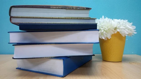 Libros Plantas Escritorio — Foto de Stock