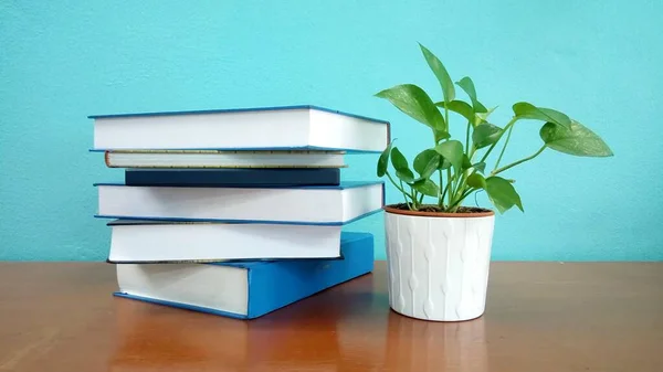 Libros Plantas Escritorio — Foto de Stock