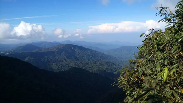 Cameron Highlands Teaültetvényre Néző Kilátás — Stock Fotó