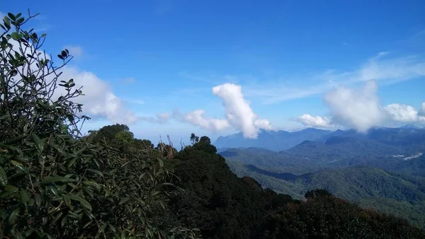 Blick Auf Teeplantage Den Cameron Highlands — Stockfoto