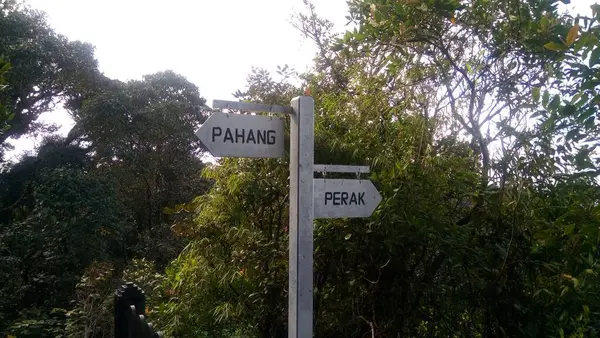 Pohled Čajovou Plantáž Cameron Highlands — Stock fotografie