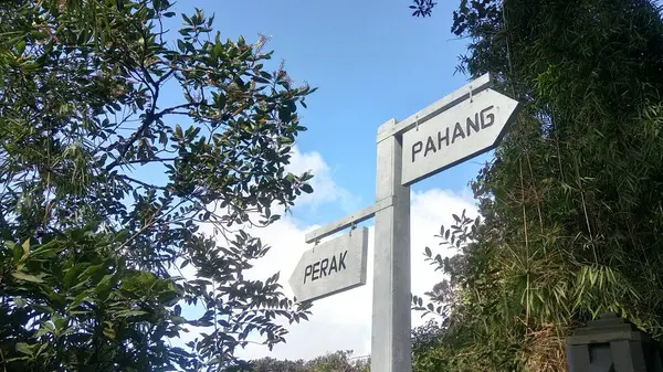 Pohled Čajovou Plantáž Cameron Highlands — Stock fotografie