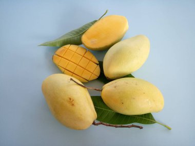 Mavi arka planda doğranmış mango.