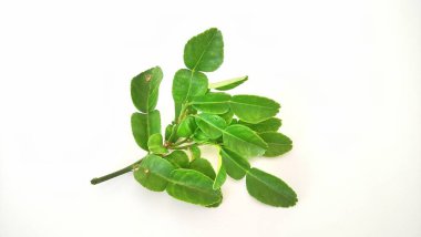 Beyaz arka planda kaffir limonu veya bergamot meyvesi