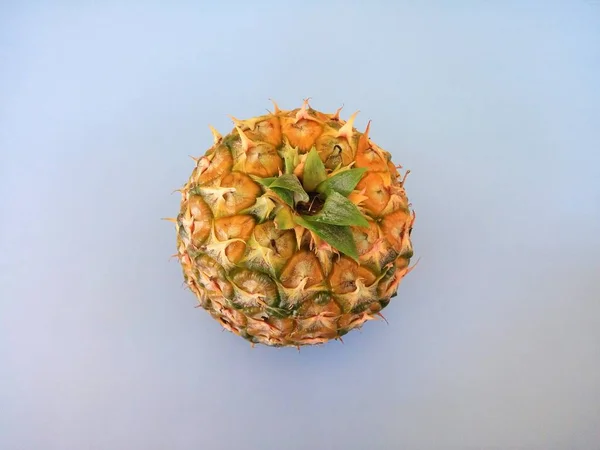 Mavi Arkaplanda Ananasın Kapağını Kapat — Stok fotoğraf