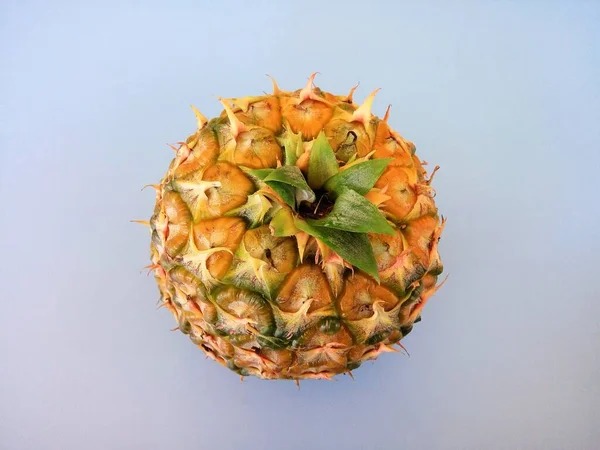 Close Pineapple Blue Background — Stock Photo, Image