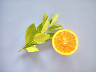 portakal meyvesi mavi arkaplanda izole