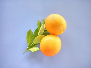 turuncu meyveler mavi arkaplanda