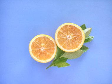 turuncu meyveler mavi arkaplanda