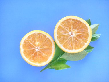 turuncu meyveler mavi arkaplanda