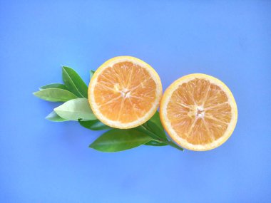 turuncu meyveler mavi arkaplanda