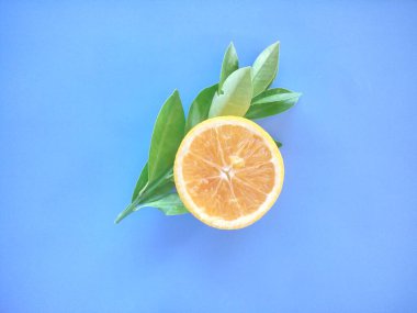 portakal meyvesi mavi arkaplanda izole