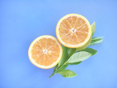 turuncu meyveler mavi arkaplanda