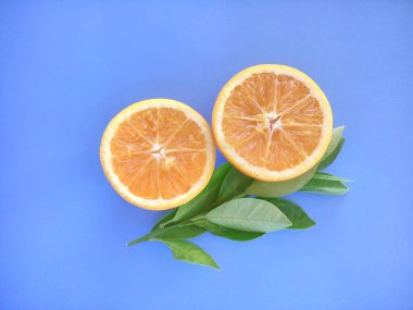 turuncu meyveler mavi arkaplanda