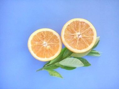 turuncu meyveler mavi arkaplanda