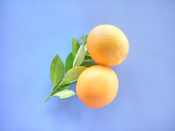 Sinaasappelvruchten Blauwe Ondergrond — Stockfoto