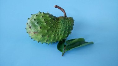 Mavi arka planda yapraklı kaynak meyvesi