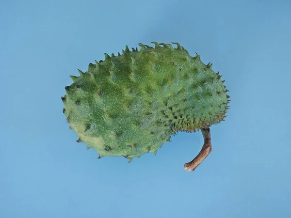 Soursop Fruta Aislada Sobre Fondo Azul — Foto de Stock