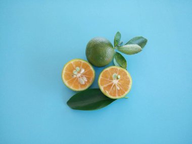 kalamansi limonları mavi arkaplanda izole edildi 