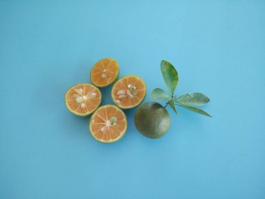 kalamansi limonları mavi arkaplanda izole edildi 
