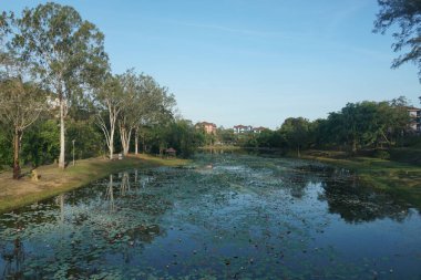 Universiti Teknologi MARA Melaka Gölü manzaralı. Alor Gajah, Melaka, Malezya