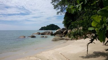 Palmiye ağaçları ve mavi gökyüzü olan tropik plaj