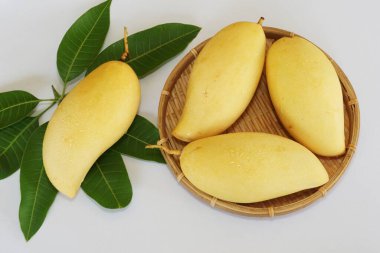 Beyaz arka planda sarı mango