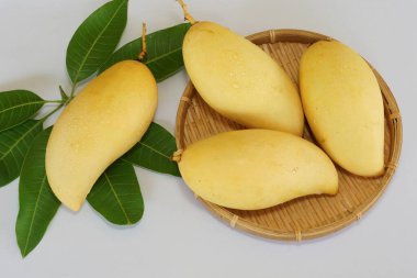 Beyaz arka planda sarı mango