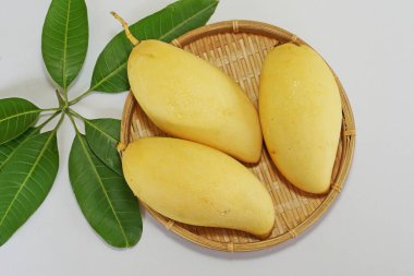 Beyaz arka planda sarı mango