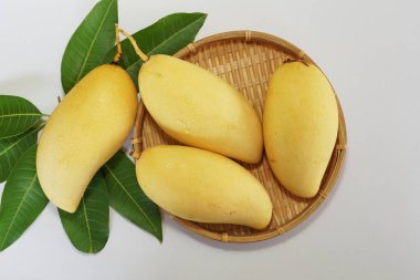 Beyaz arka planda sarı mango