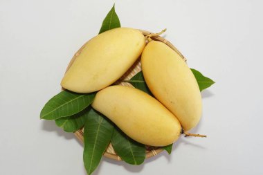Beyaz arka planda sarı mango