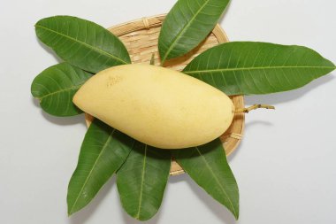 Beyaz arka planda sarı mango